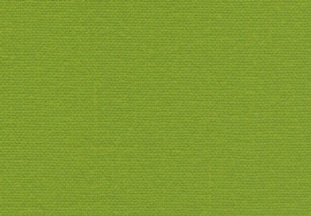 Allure Bookcloth Lime