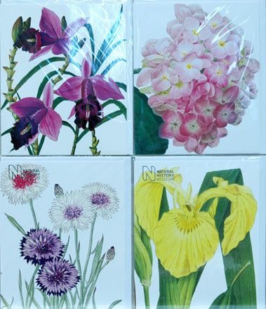 Single Card Assortment NHM Orchid, Cornflower, Iris, Hydrangea