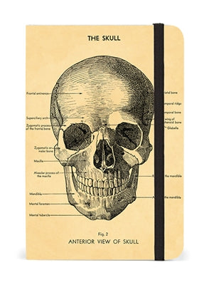 Journal Small Skull