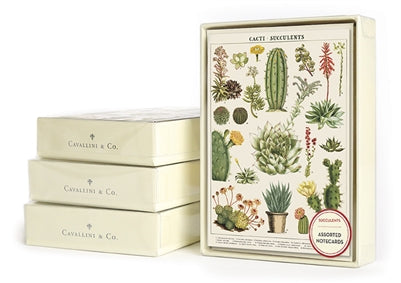 Small Boxed Cards Assortment Succulents