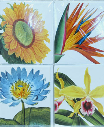 Single Card Assortment NHM Sunflower, Water Lily, Bird of Paradis, Iris