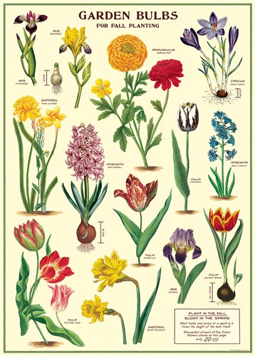 Florentine Print Garden Bulbs