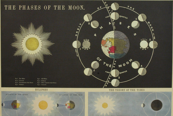 Florentine Print Phases of the Moon