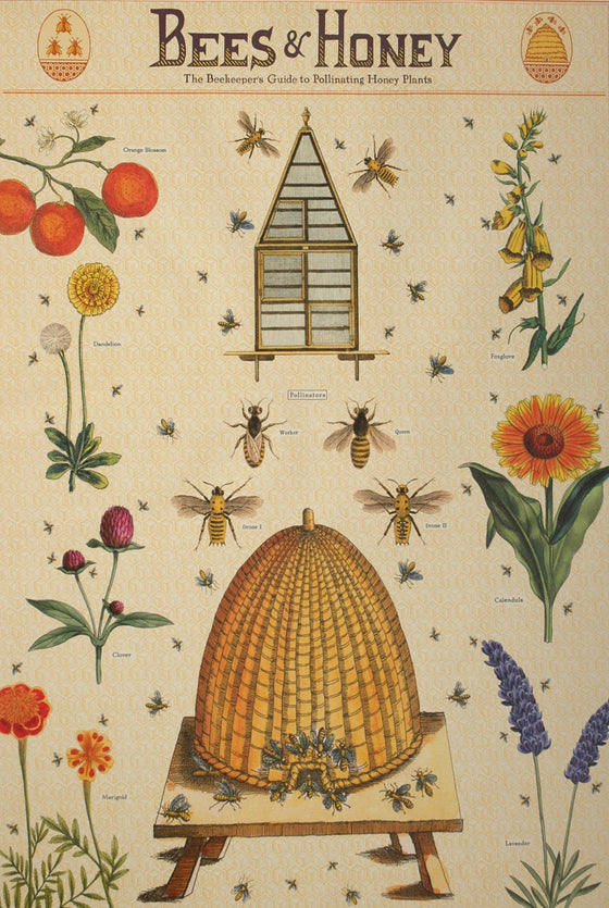 Florentine Print Beekeeper's Guide to Bees & Honey