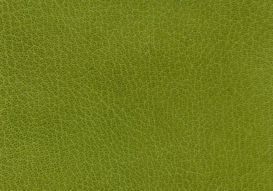 Harmatan Goat Leather Medium Green Split #16
