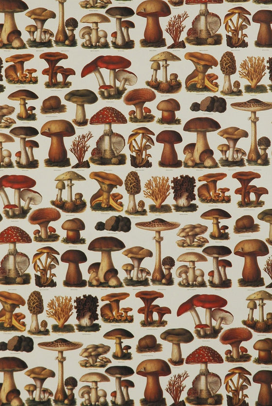 Florentine Print Mushrooms & Sponges
