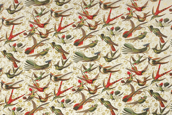 Florentine Print Humming Birds