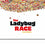 Book Nielander Ladybug Race