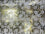 Indian Foil Distressed Gold with White Flowers -- NEW