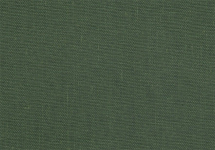 Allure Bookcloth Fern - NEW