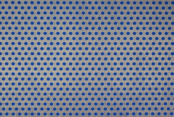 Indian Print Woven Hexagon Blue