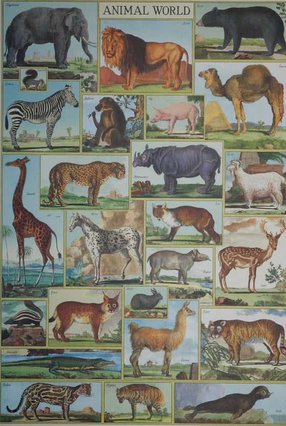 Florentine Print Animal World - NEW