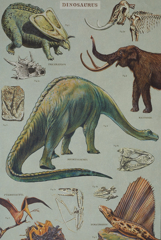 Florentine Print Dinosaurus