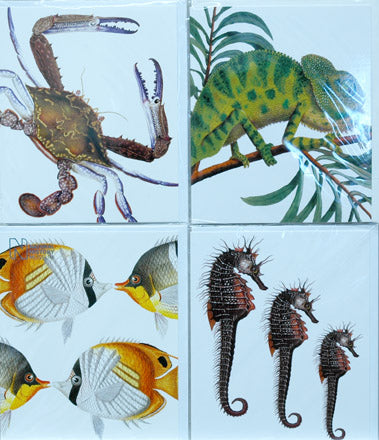 Single Card Assortment NHM Crab, Butterflyfish, Seahorse, Chameleon