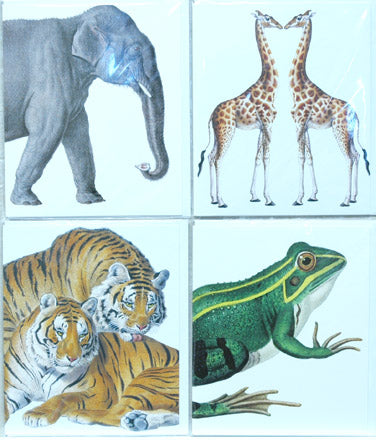 Single Card Assortment NHM Elephant, Frog, Tiger, Giraffe