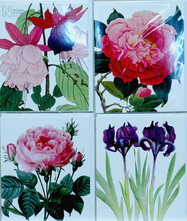 Single Card Assortment NHM Fuchsia, Rose, Iris, Camelia