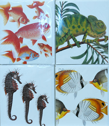 Single Card Assortment NHM Goldfish Chameleon, Seahorse, Butterflyfish