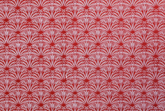 Lokta Print Feather Dusters White on Red