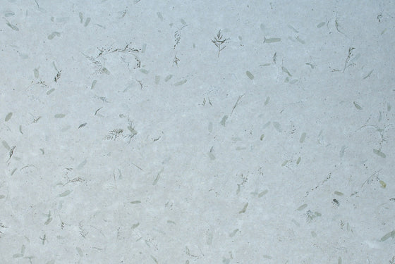 Tamarind Leaf Tissue White with Green Leaf