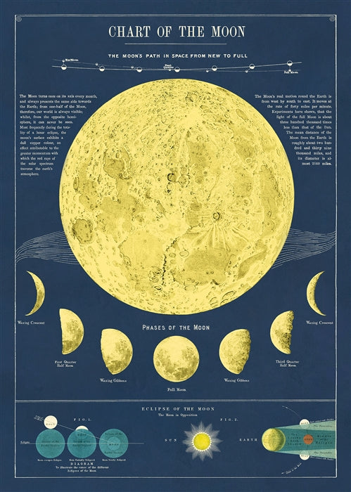 Florentine Print Moon Chart