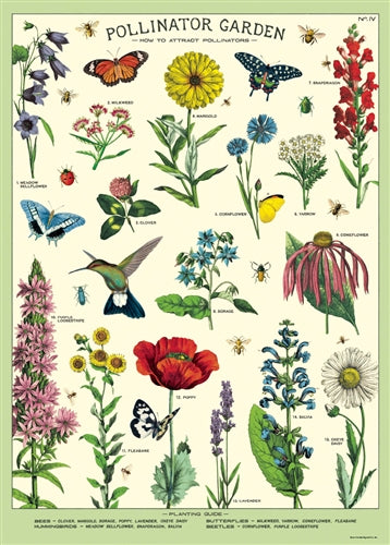 Florentine Print Pollinators