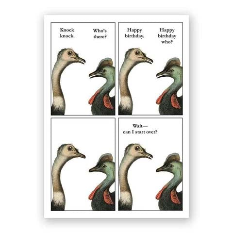 Note Card Mincing Mockingbird Cassowary Birthday