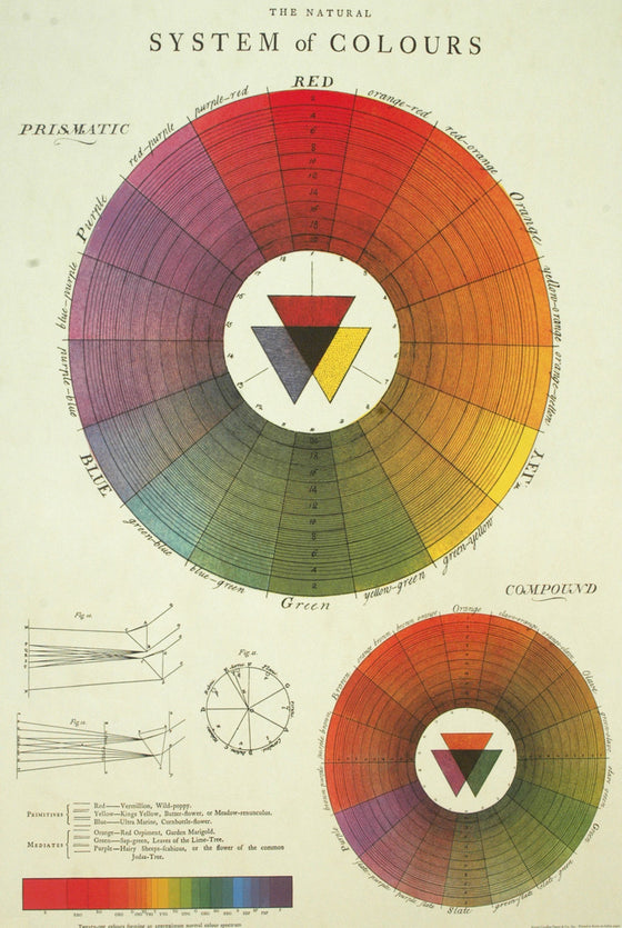 Florentine Print Color Wheel