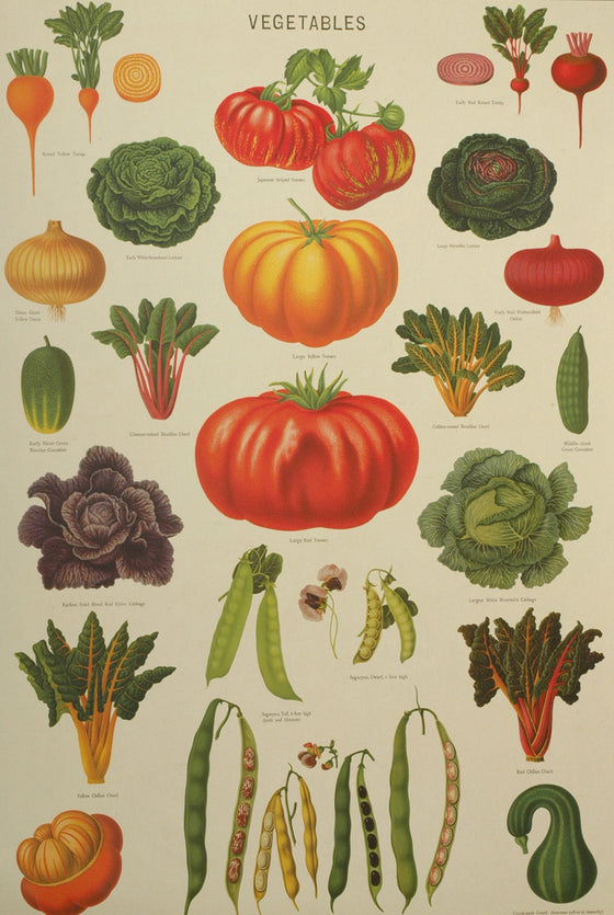 Florentine Print Vegetable Garden