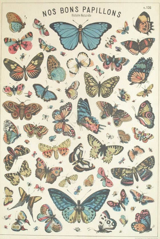 Florentine Print Butterfly Chart