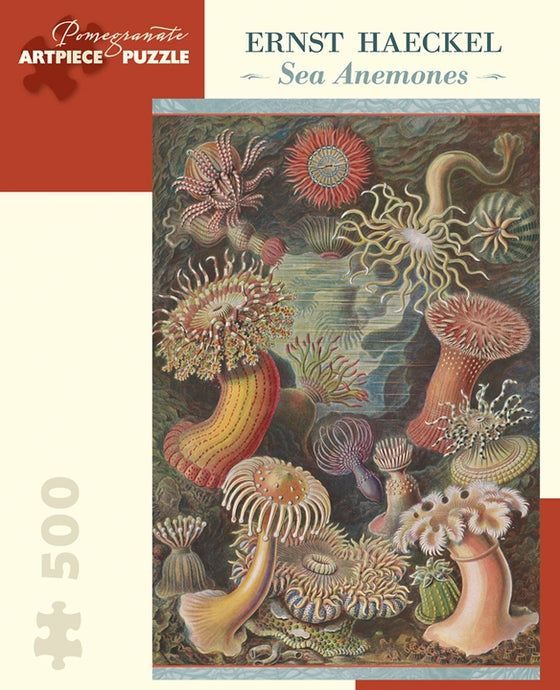 Jigsaw Puzzle Haeckel Sea Anemones - 500 Piece