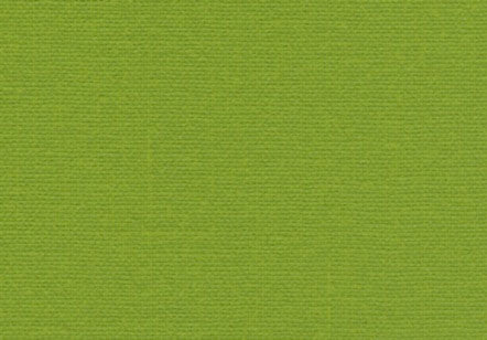 Pearl Linen Bookcloth Limelight