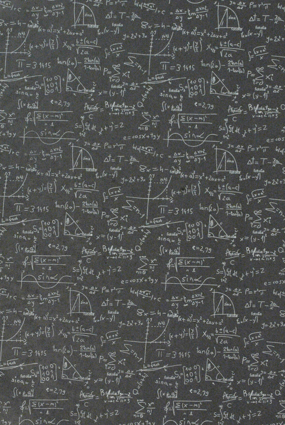 Lokta Print Chalkboard Equations