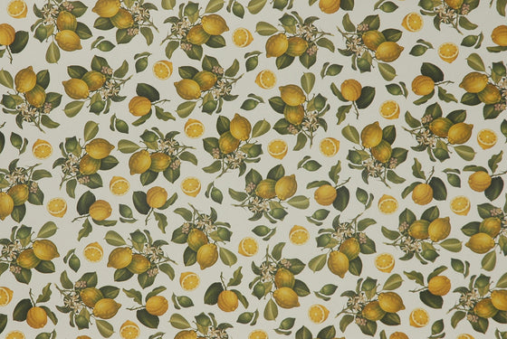 Florentine Print Small Lemons