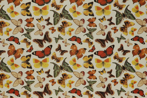 Florentine Print Butterflies