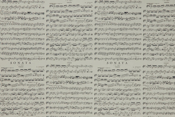 Florentine Print Vivaldi Sonata