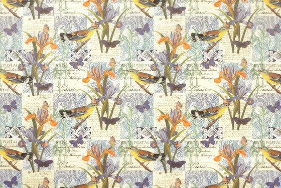 Florentine Print Bird Iris Postale