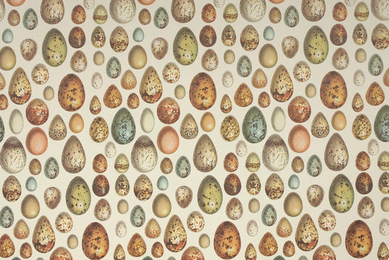 Florentine Print Eggs