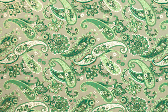 Indian Print Crazy Paisley Green on Grey