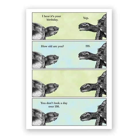 Note Card Mincing Mockingbird Turtle Birthday